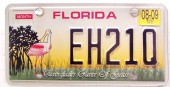   Florida_Everglades